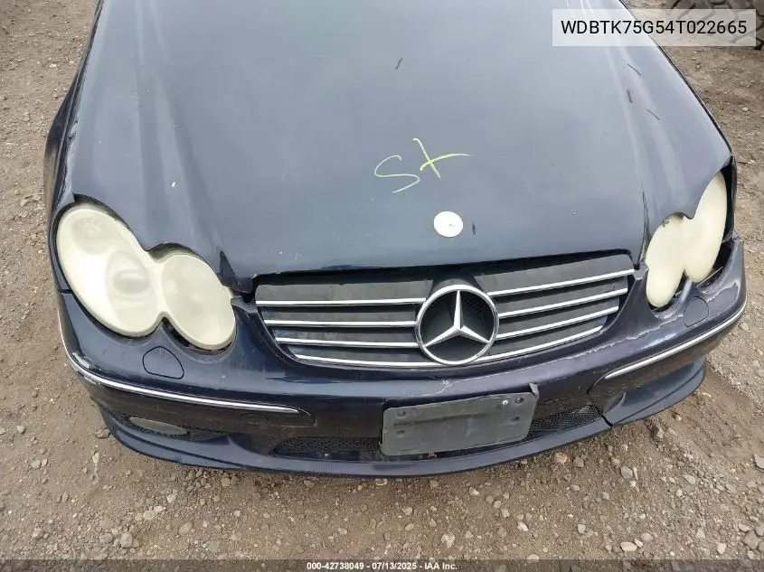 2004 Mercedes-Benz Clk 500 VIN: WDBTK75G54T022665 Lot: 42738049