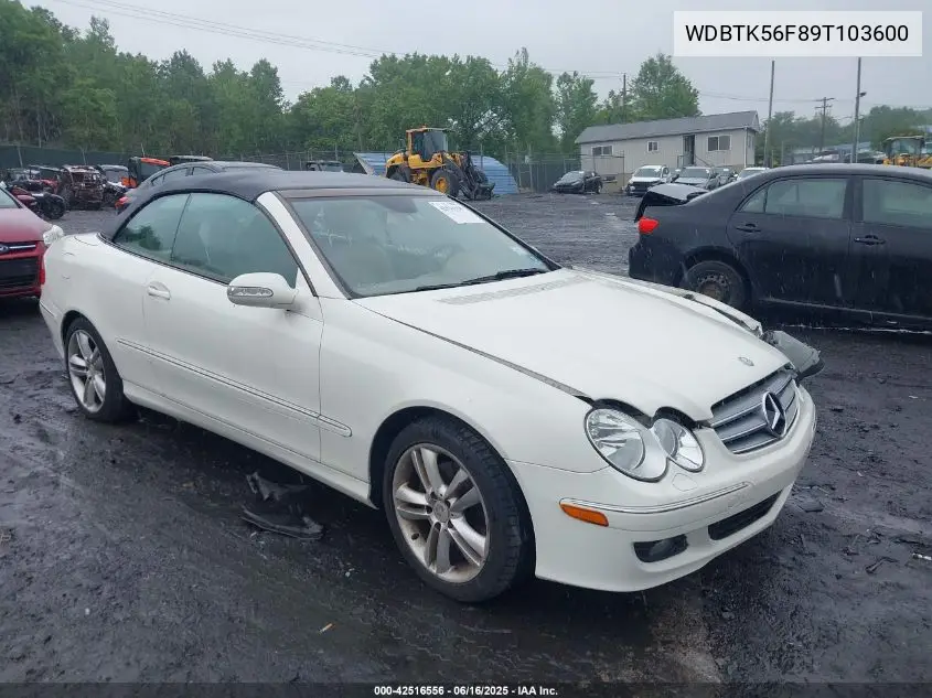 2009 Mercedes-Benz Clk 350 VIN: WDBTK56F89T103600 Lot: 42516556