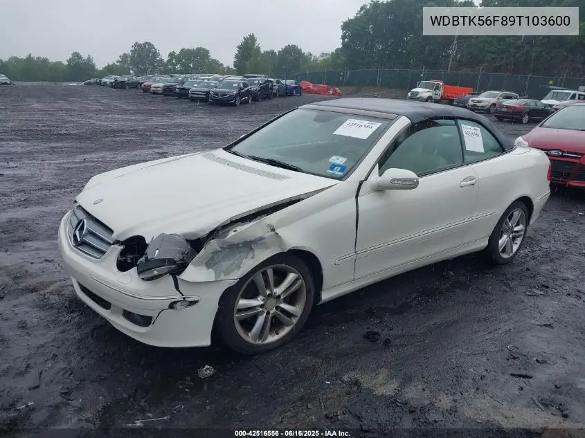 2009 Mercedes-Benz Clk 350 VIN: WDBTK56F89T103600 Lot: 42516556