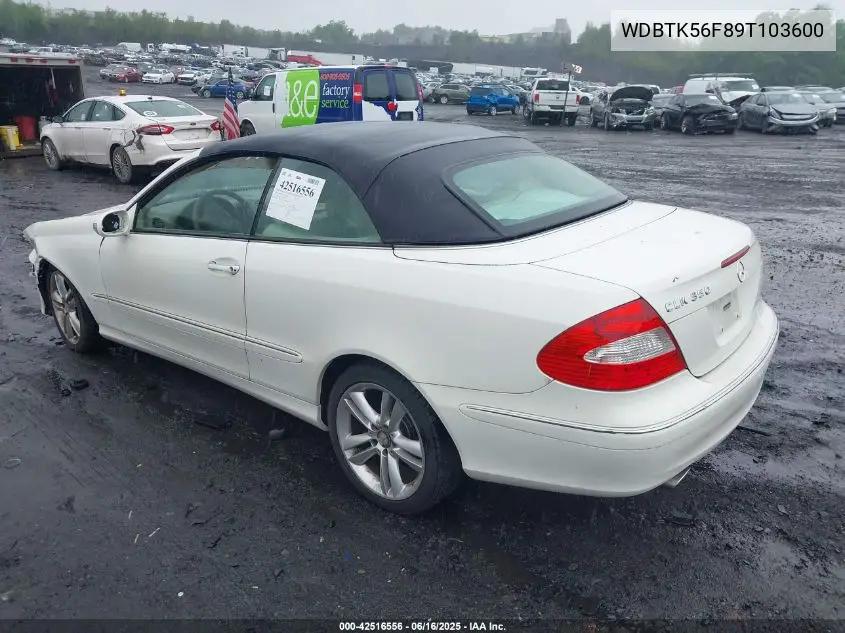 2009 Mercedes-Benz Clk 350 VIN: WDBTK56F89T103600 Lot: 42516556