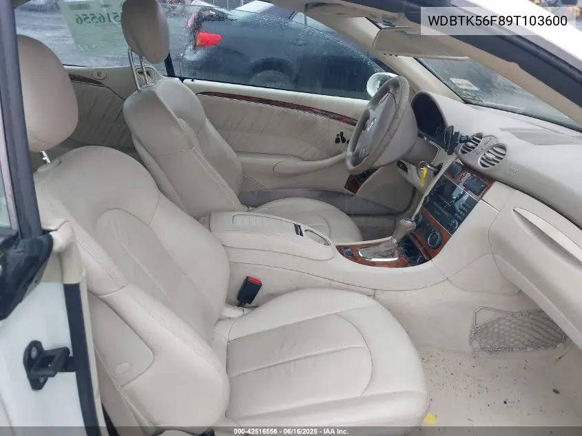 2009 Mercedes-Benz Clk 350 VIN: WDBTK56F89T103600 Lot: 42516556