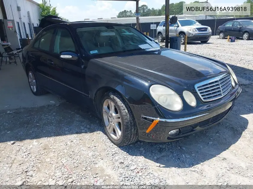 2006 Mercedes-Benz E 350 VIN: WDBUF56J16A939818 Lot: 42213057