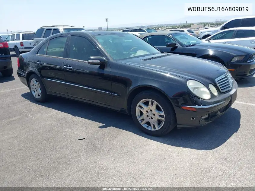 2006 Mercedes-Benz E 350 VIN: WDBUF56J16A809019 Lot: 42588989