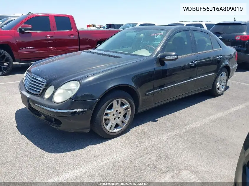 2006 Mercedes-Benz E 350 VIN: WDBUF56J16A809019 Lot: 42588989