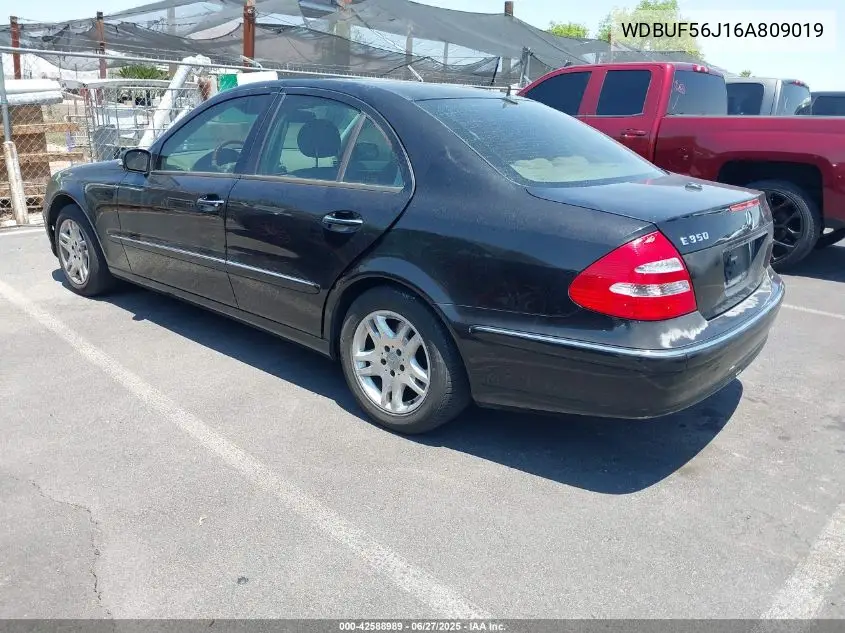 2006 Mercedes-Benz E 350 VIN: WDBUF56J16A809019 Lot: 42588989