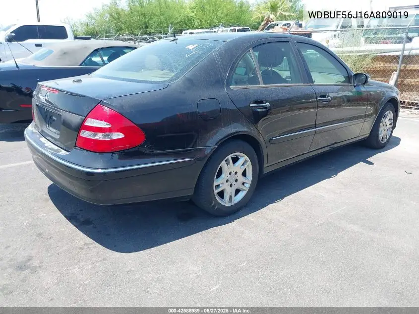 2006 Mercedes-Benz E 350 VIN: WDBUF56J16A809019 Lot: 42588989