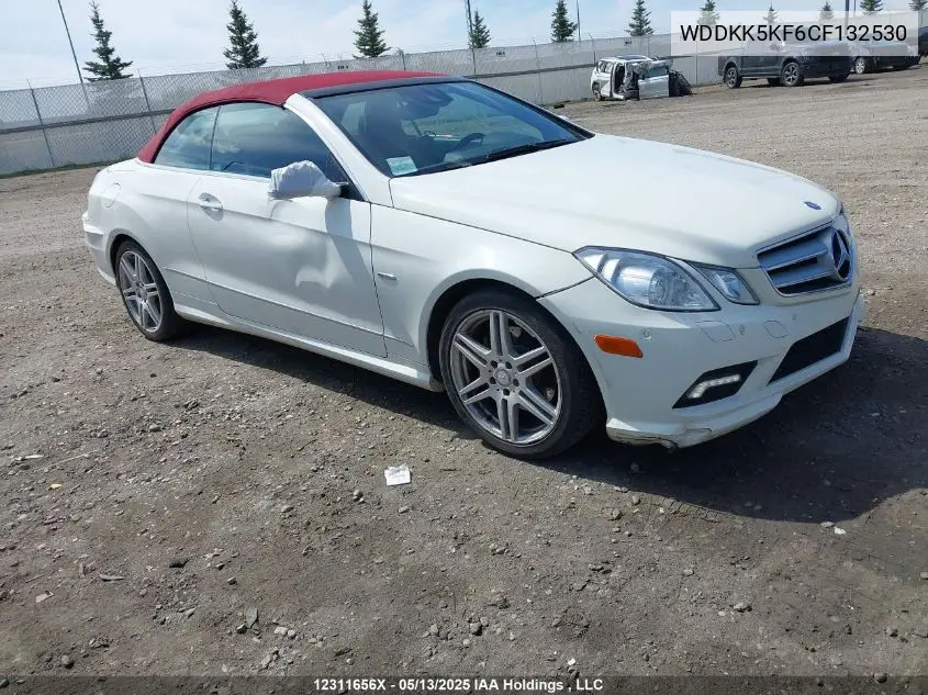 2012 Mercedes-Benz E 350 VIN: WDDKK5KF6CF132530 Lot: 12311656X