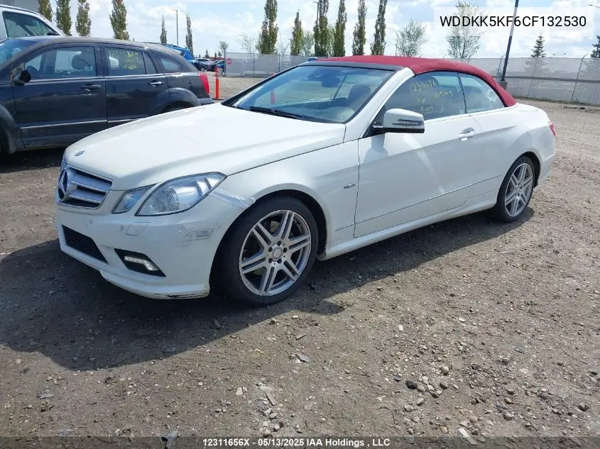 2012 Mercedes-Benz E 350 VIN: WDDKK5KF6CF132530 Lot: 12311656X