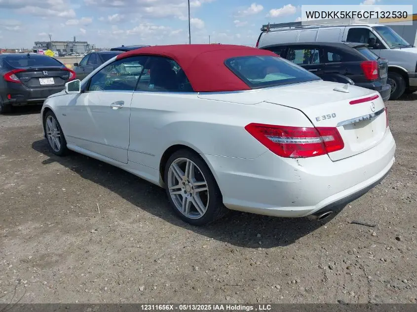 2012 Mercedes-Benz E 350 VIN: WDDKK5KF6CF132530 Lot: 12311656X