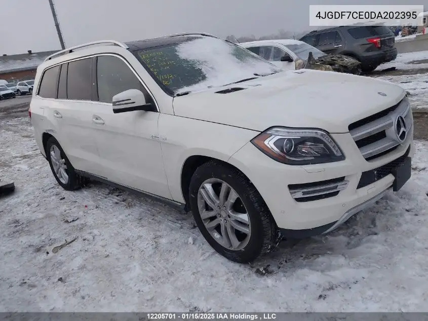 2013 Mercedes-Benz Gl 450 4Matic VIN: 4JGDF7CE0DA202395 Lot: 12205701