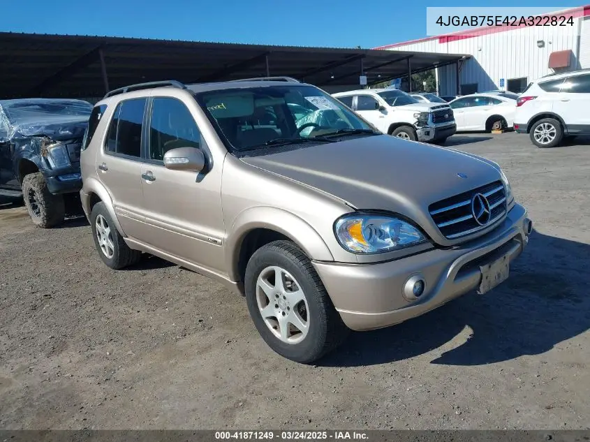 2002 Mercedes-Benz Ml 500 VIN: 4JGAB75E42A322824 Lot: 41871249