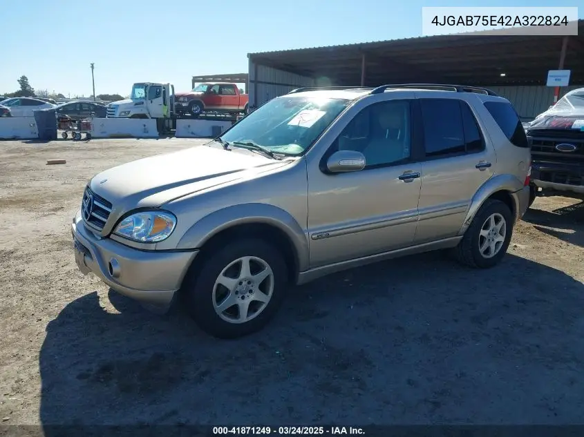 2002 Mercedes-Benz Ml 500 VIN: 4JGAB75E42A322824 Lot: 41871249