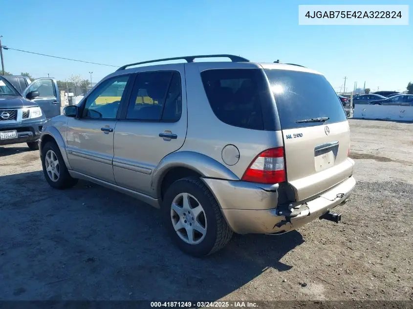 2002 Mercedes-Benz Ml 500 VIN: 4JGAB75E42A322824 Lot: 41871249