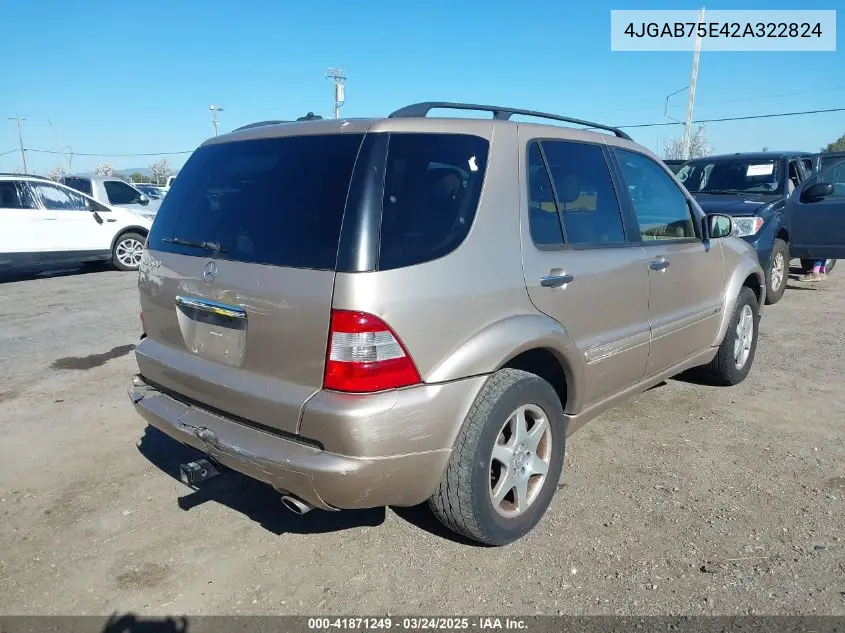 2002 Mercedes-Benz Ml 500 VIN: 4JGAB75E42A322824 Lot: 41871249