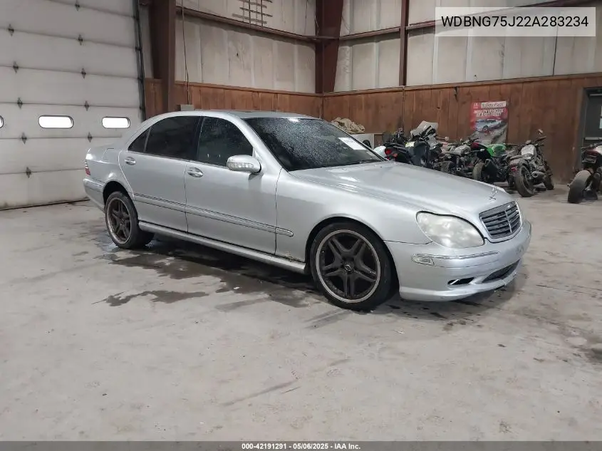 2002 Mercedes-Benz S 500 VIN: WDBNG75J22A283234 Lot: 42191291
