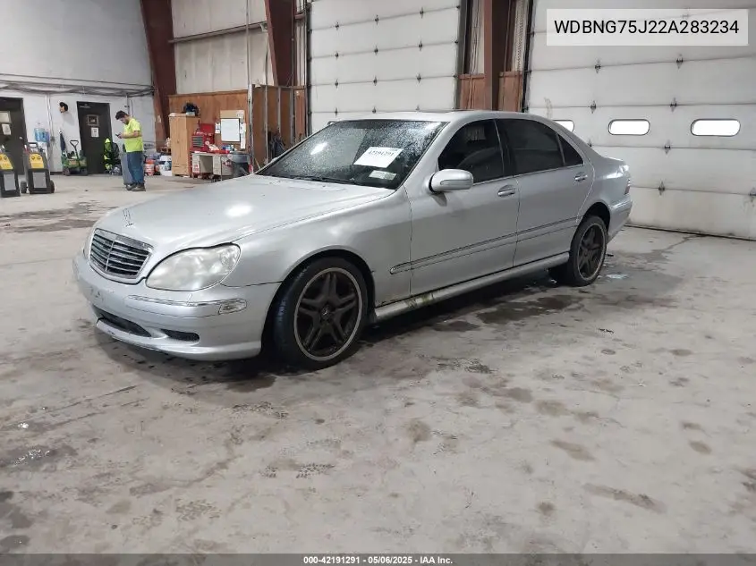 2002 Mercedes-Benz S 500 VIN: WDBNG75J22A283234 Lot: 42191291