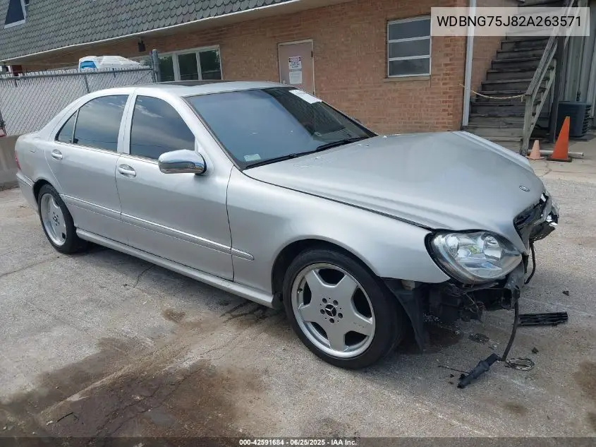 2002 Mercedes-Benz S 500 VIN: WDBNG75J82A263571 Lot: 42591684
