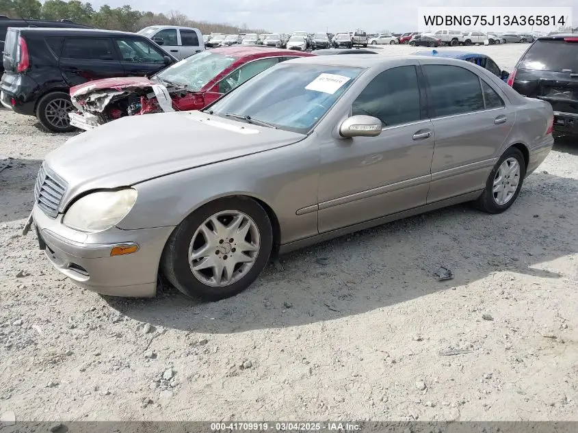 2003 Mercedes-Benz S 500 VIN: WDBNG75J13A365814 Lot: 41709919