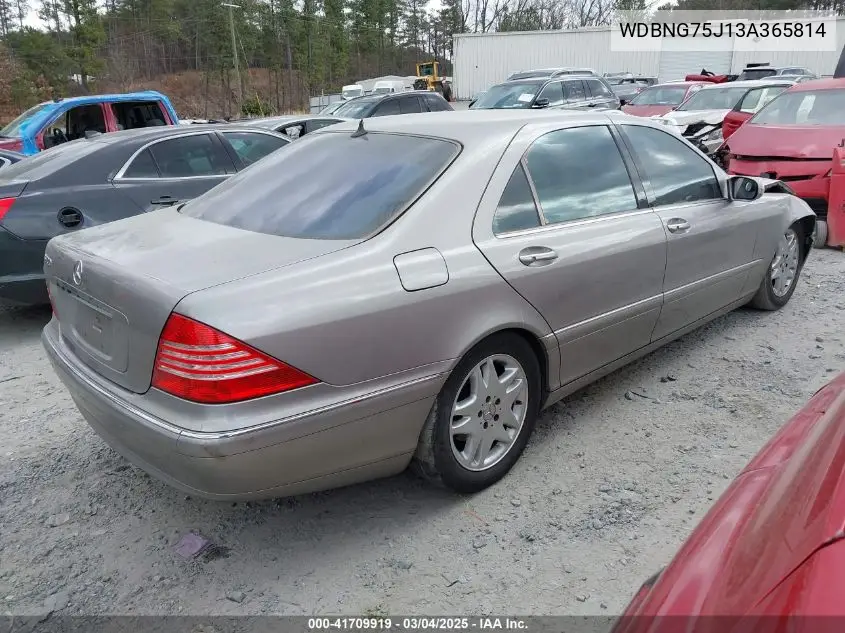 2003 Mercedes-Benz S 500 VIN: WDBNG75J13A365814 Lot: 41709919