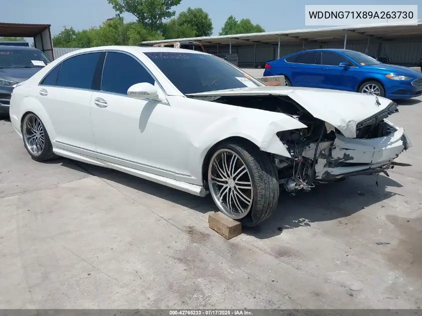 2009 Mercedes-Benz S 550 VIN: WDDNG71X89A263730 Lot: 42765233