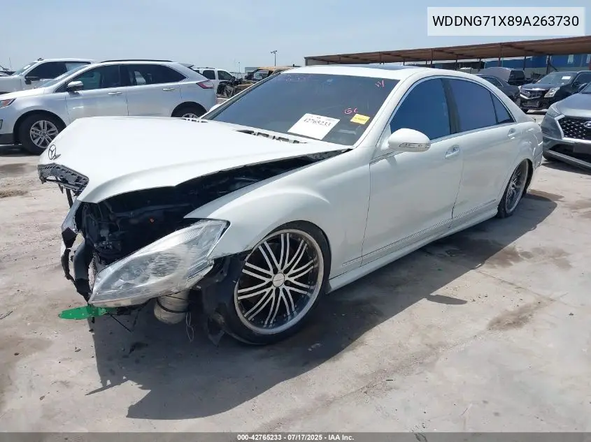2009 Mercedes-Benz S 550 VIN: WDDNG71X89A263730 Lot: 42765233
