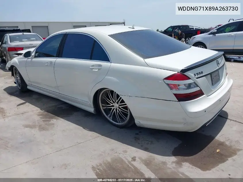 2009 Mercedes-Benz S 550 VIN: WDDNG71X89A263730 Lot: 42765233