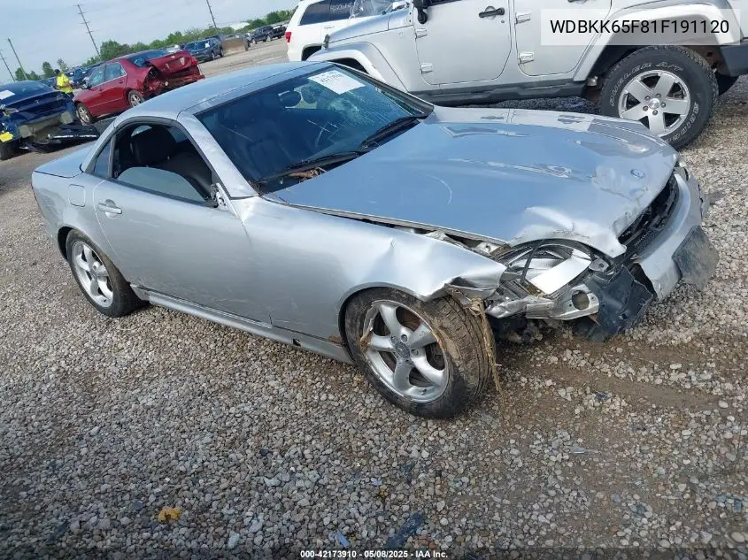 2001 Mercedes-Benz Slk 320 VIN: WDBKK65F81F191120 Lot: 42173910