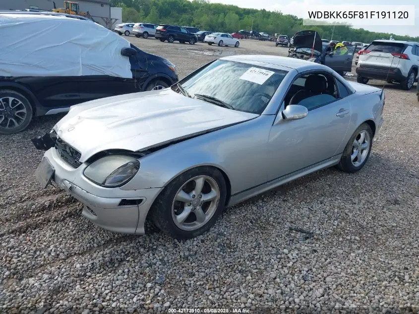 2001 Mercedes-Benz Slk 320 VIN: WDBKK65F81F191120 Lot: 42173910