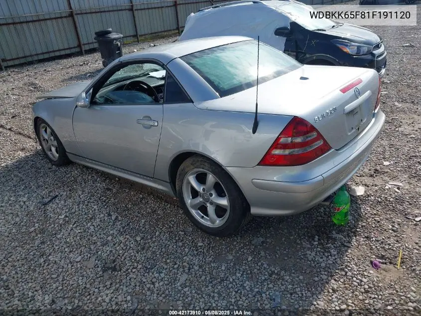 2001 Mercedes-Benz Slk 320 VIN: WDBKK65F81F191120 Lot: 42173910