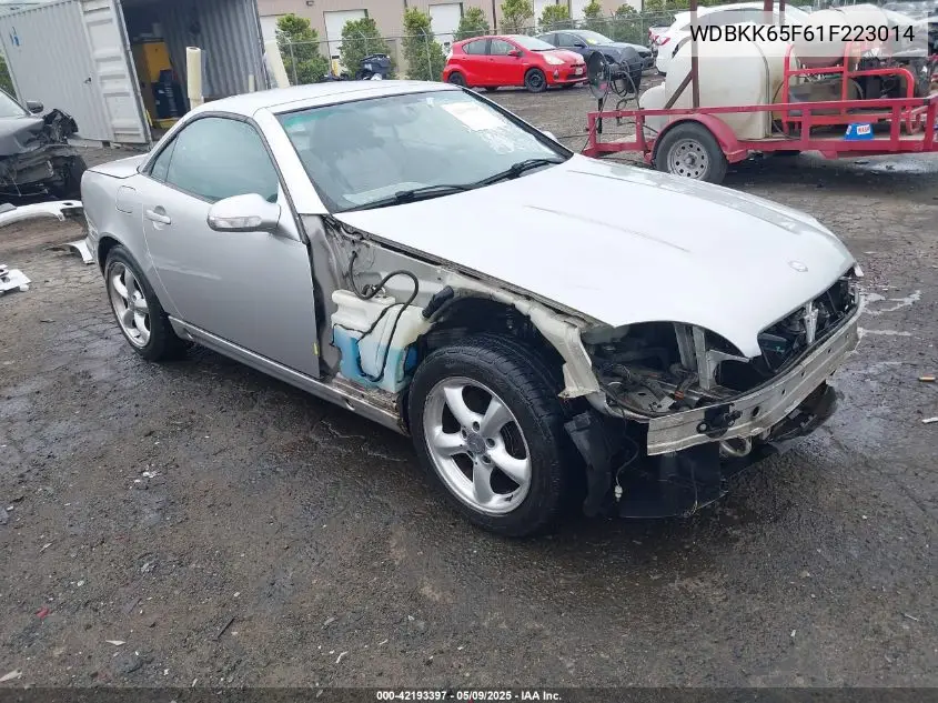 2001 Mercedes-Benz Slk 320 VIN: WDBKK65F61F223014 Lot: 42193397