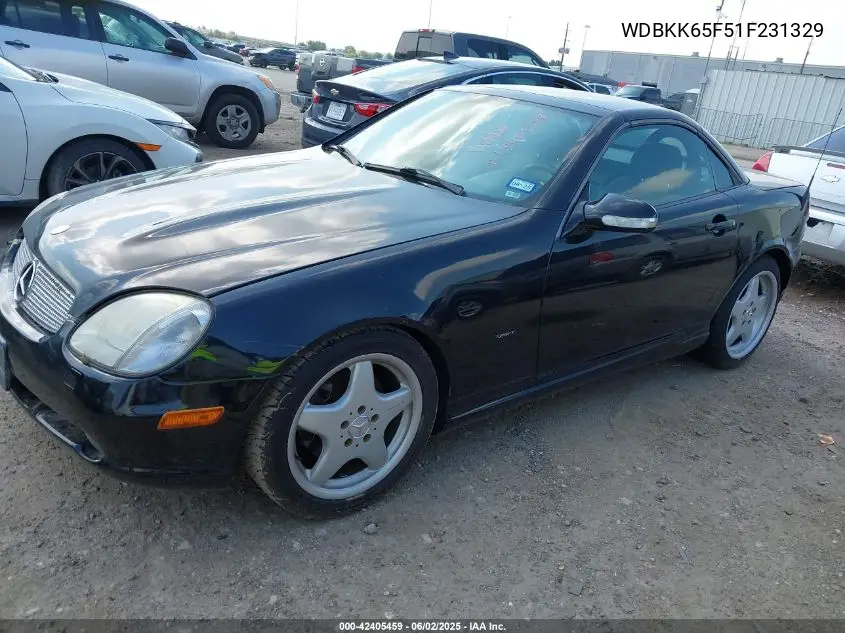 2001 Mercedes-Benz Slk 320 VIN: WDBKK65F51F231329 Lot: 42405459