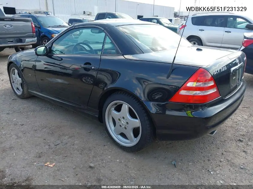 2001 Mercedes-Benz Slk 320 VIN: WDBKK65F51F231329 Lot: 42405459