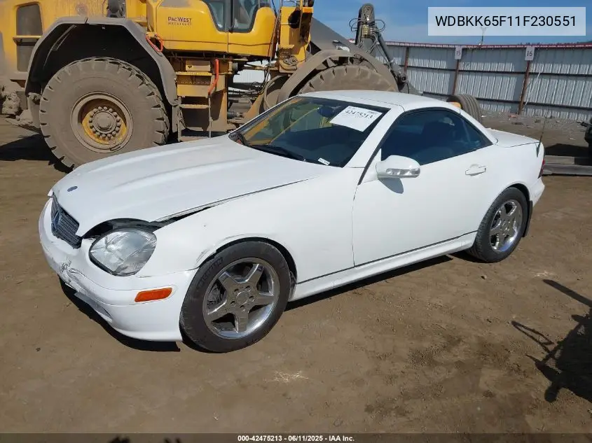 2001 Mercedes-Benz Slk 320 VIN: WDBKK65F11F230551 Lot: 42475213