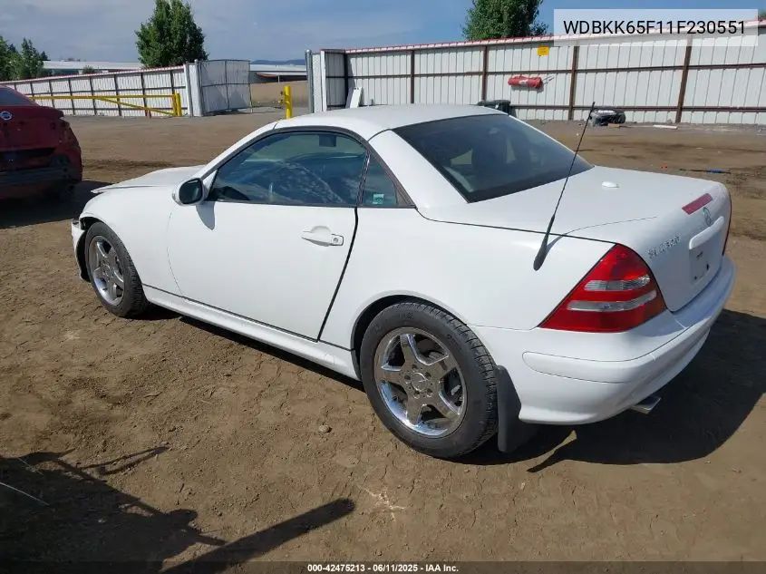 2001 Mercedes-Benz Slk 320 VIN: WDBKK65F11F230551 Lot: 42475213