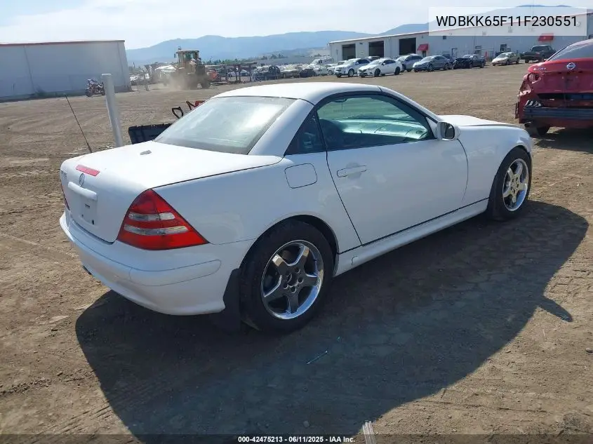 2001 Mercedes-Benz Slk 320 VIN: WDBKK65F11F230551 Lot: 42475213