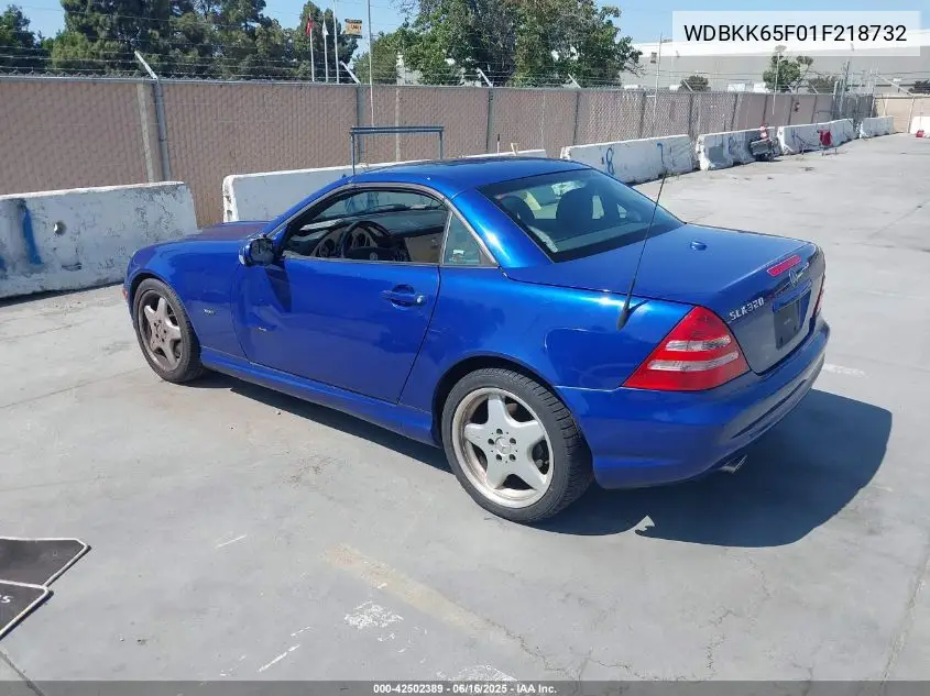 2001 Mercedes-Benz Slk 320 VIN: WDBKK65F01F218732 Lot: 42502389