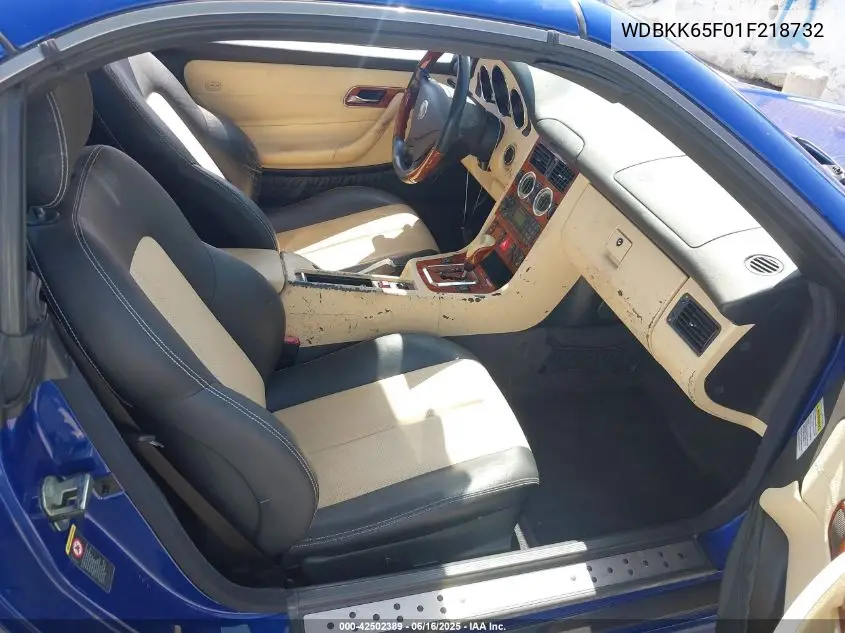 2001 Mercedes-Benz Slk 320 VIN: WDBKK65F01F218732 Lot: 42502389