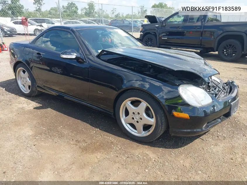 2001 Mercedes-Benz Slk 320 VIN: WDBKK65F91F183589 Lot: 42651466