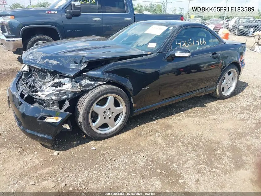 2001 Mercedes-Benz Slk 320 VIN: WDBKK65F91F183589 Lot: 42651466