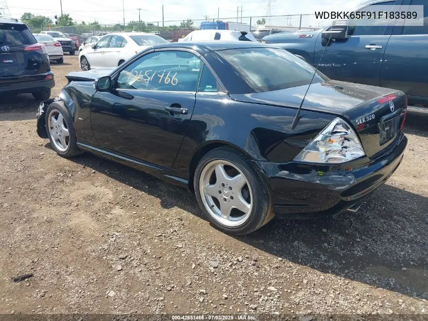 2001 Mercedes-Benz Slk 320 VIN: WDBKK65F91F183589 Lot: 42651466