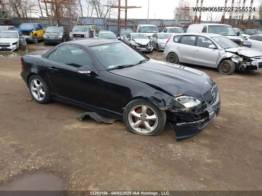 2002 Mercedes-Benz Slk 320 VIN: WDBKK65F02F255524 Lot: 12283158