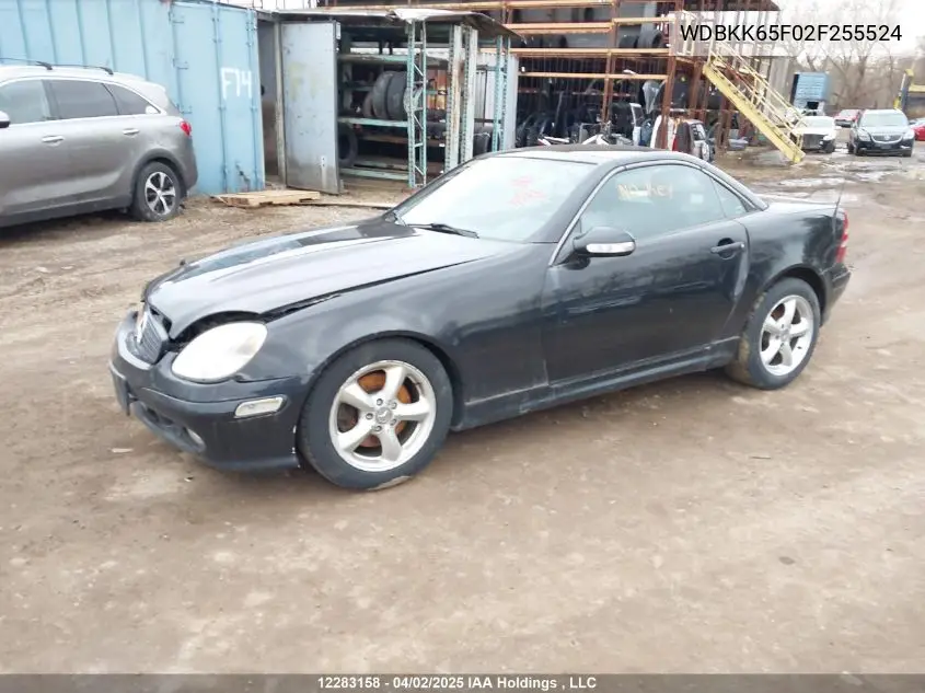 2002 Mercedes-Benz Slk 320 VIN: WDBKK65F02F255524 Lot: 12283158