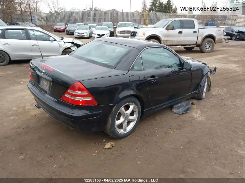 2002 Mercedes-Benz Slk 320 VIN: WDBKK65F02F255524 Lot: 12283158