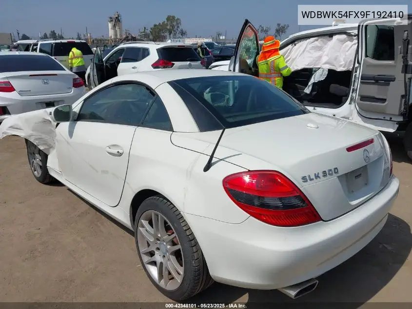 2009 Mercedes-Benz Slk 300 VIN: WDBWK54FX9F192410 Lot: 42348101