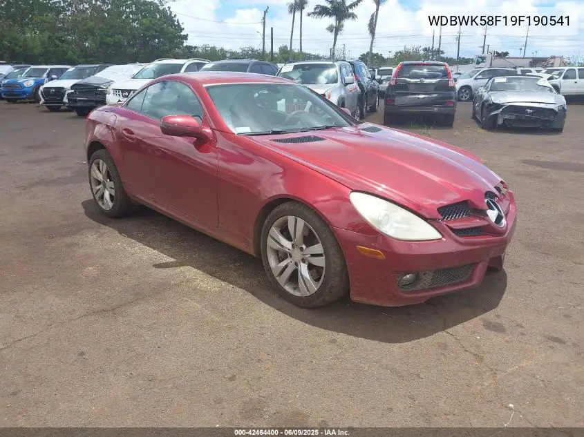 2009 Mercedes-Benz Slk 350 VIN: WDBWK58F19F190541 Lot: 42464400