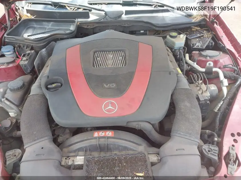 2009 Mercedes-Benz Slk 350 VIN: WDBWK58F19F190541 Lot: 42464400