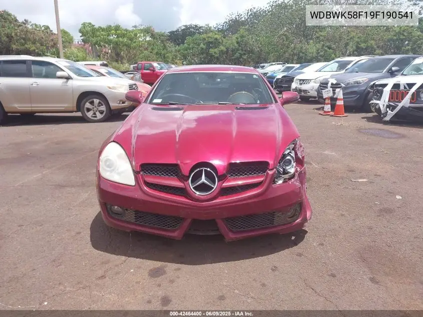 2009 Mercedes-Benz Slk 350 VIN: WDBWK58F19F190541 Lot: 42464400