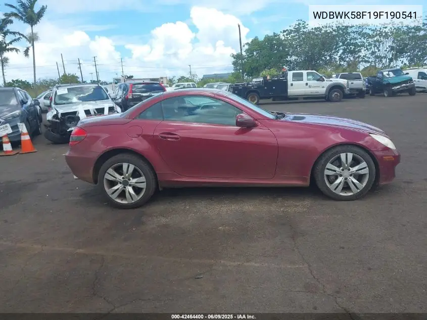 2009 Mercedes-Benz Slk 350 VIN: WDBWK58F19F190541 Lot: 42464400