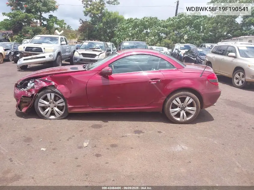 2009 Mercedes-Benz Slk 350 VIN: WDBWK58F19F190541 Lot: 42464400