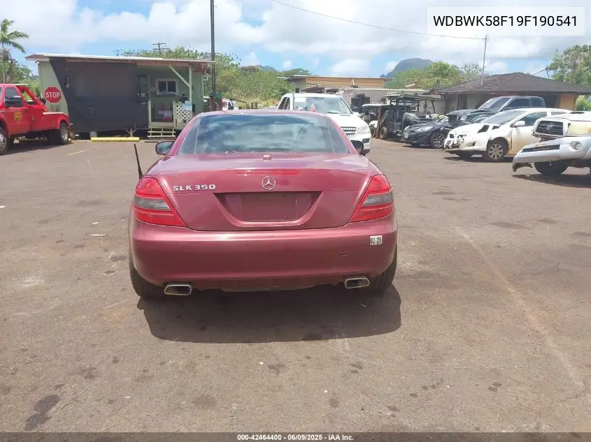 2009 Mercedes-Benz Slk 350 VIN: WDBWK58F19F190541 Lot: 42464400